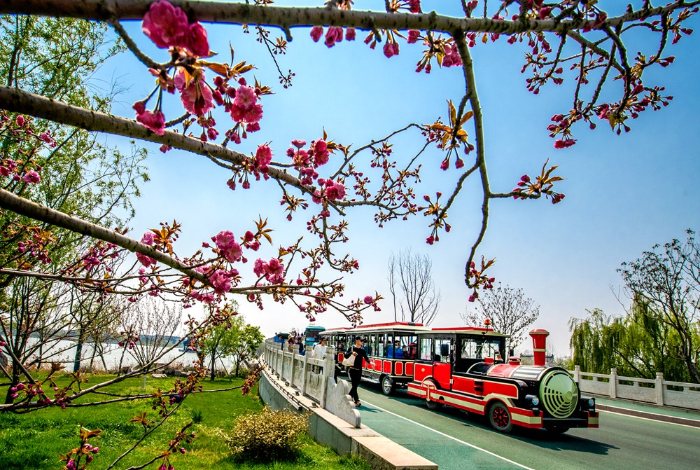 萬亮_作品名_小火車上賞春景_手機(jī)_18851556448_ID_3258964_04490032371-19042520555065_o.jpg