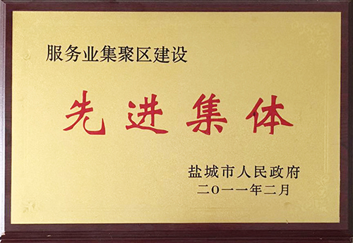 2011年2月市政府授予 服務(wù)業(yè)集聚區(qū)建設(shè)  先進集體.jpg