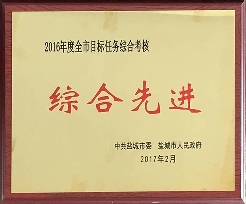 2016年2月全市目標任務(wù)綜合考核綜合先進.JPG